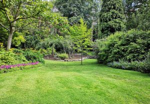 Optimiser l'expérience du jardin à Belfort-du-Quercy